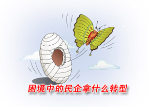 困境中的民企拿什么轉型