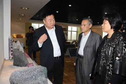 工信部劉樹蘋副司長一行到易成公司調研