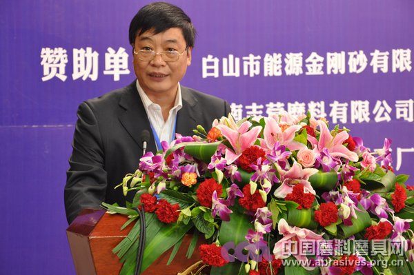 專家委員會副主任委員趙新力教授