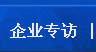 企業(yè)專訪