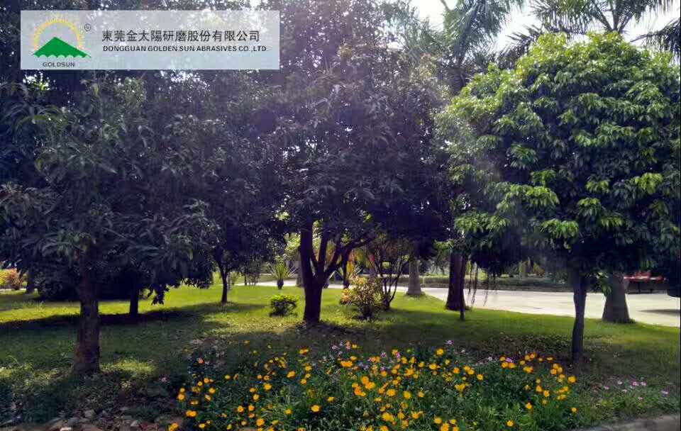 東莞金太陽(yáng)研磨股份有限公司招聘啟事