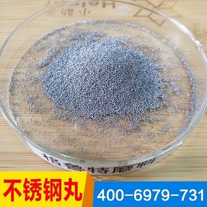 304不銹鋼丸0.2mm 廠家現(xiàn)貨 強化不銹鋼丸 霧化鋼丸 不銹鋼丸 0.6mm 起訂量不限