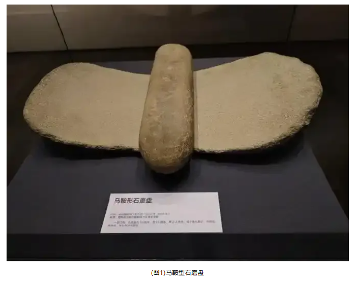 史前食物的加工技術(shù)——論磨具與杵臼的起源